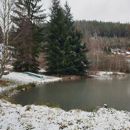 Penzion Lumis Nova Role Bagian luar foto