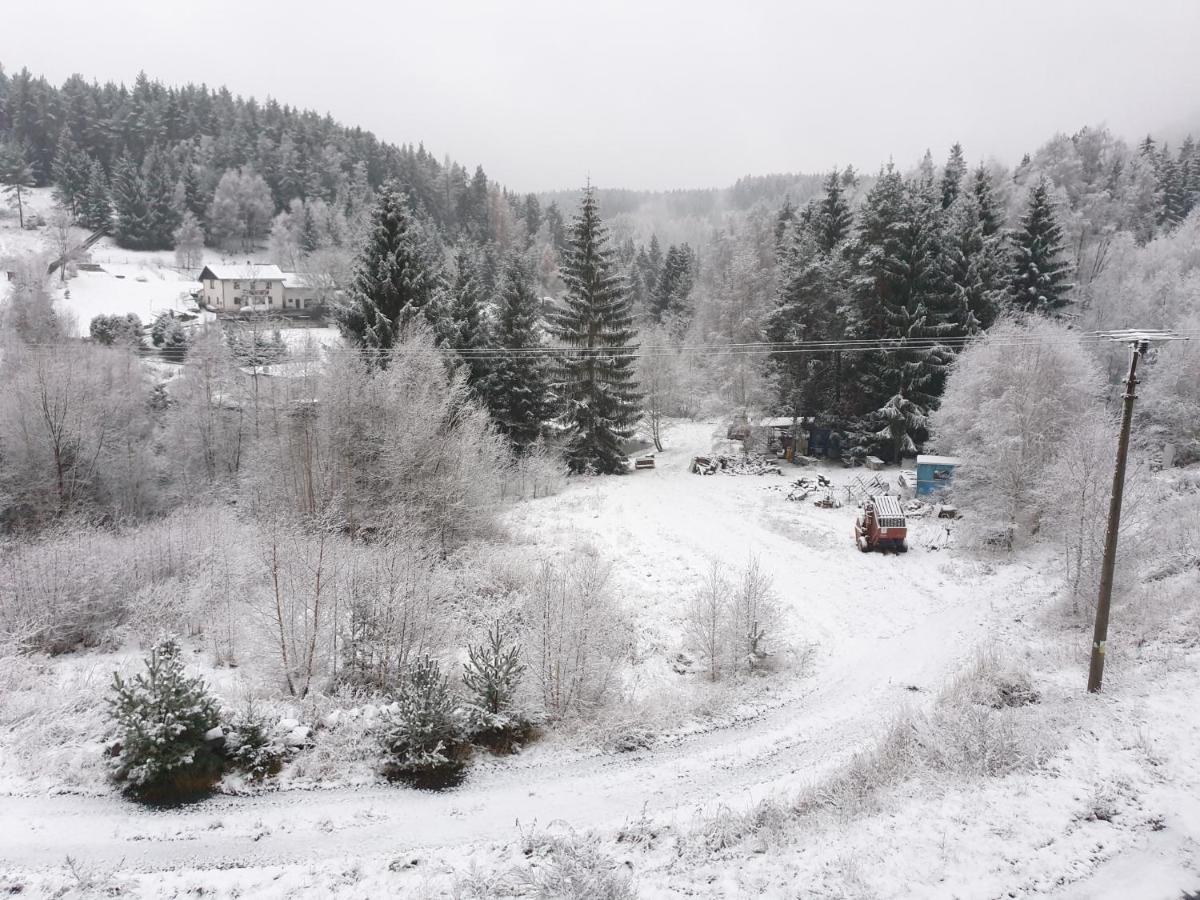 Penzion Lumis Nova Role Bagian luar foto